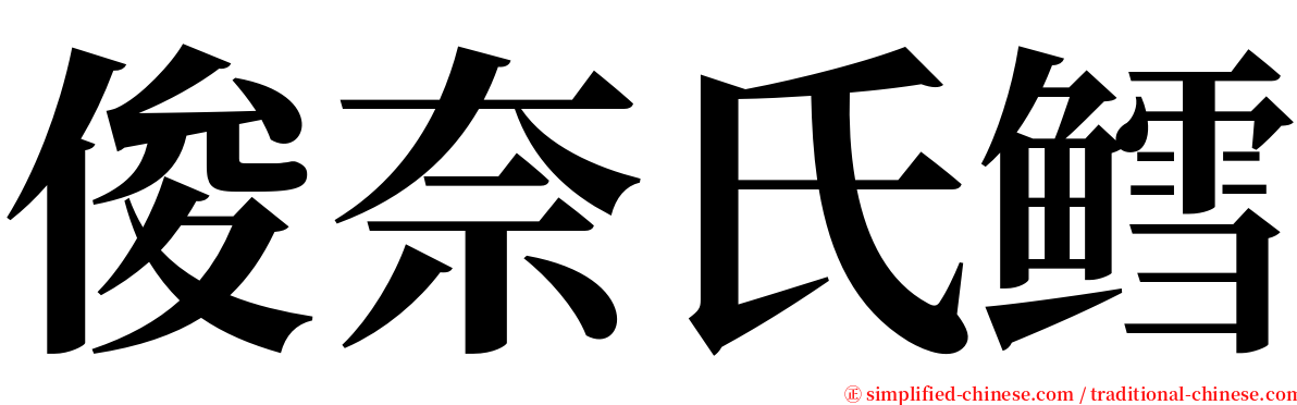 俊奈氏鳕 serif font