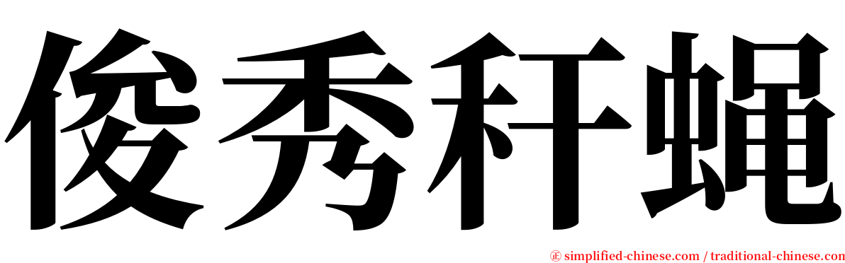 俊秀秆蝇 serif font