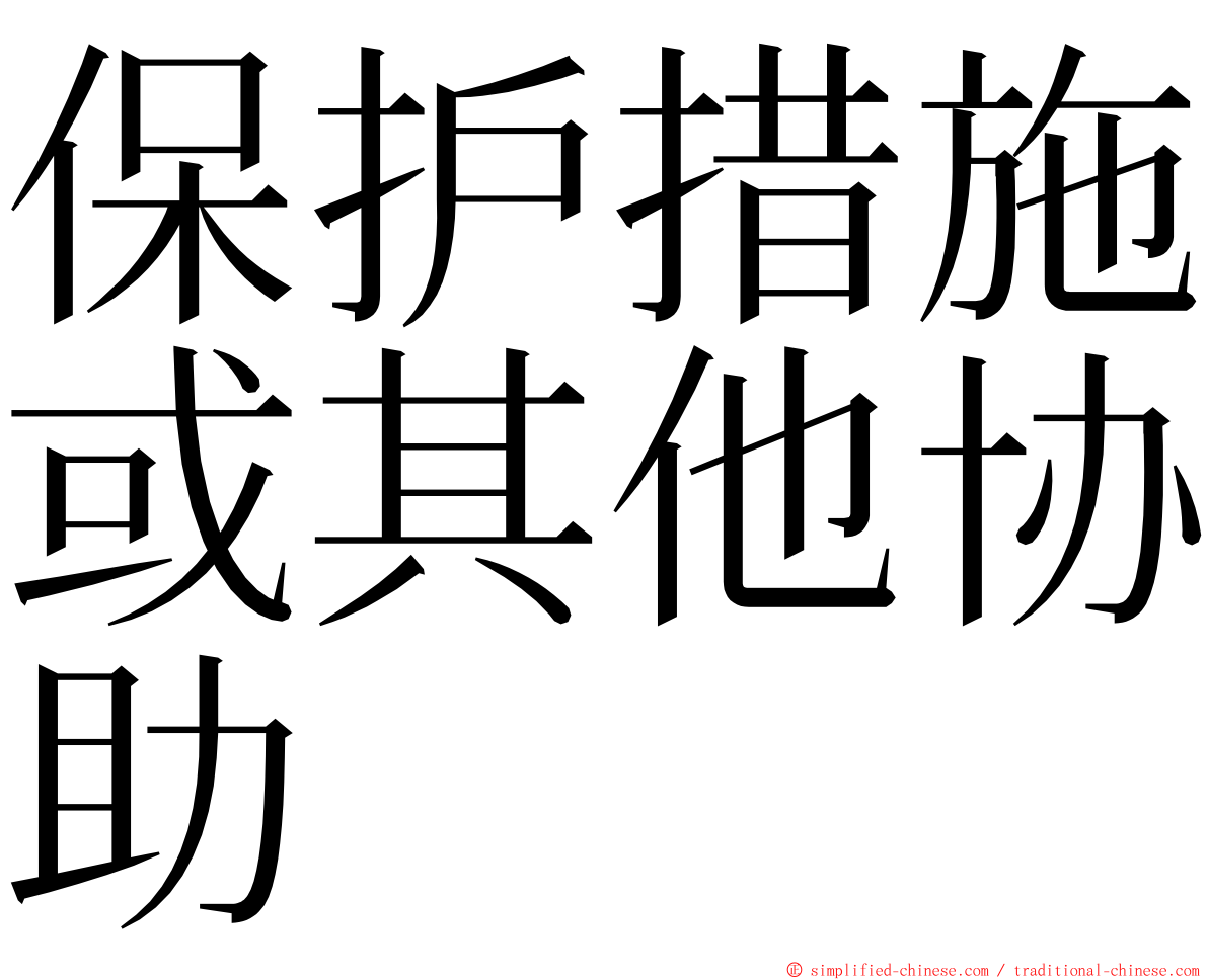 保护措施或其他协助 ming font