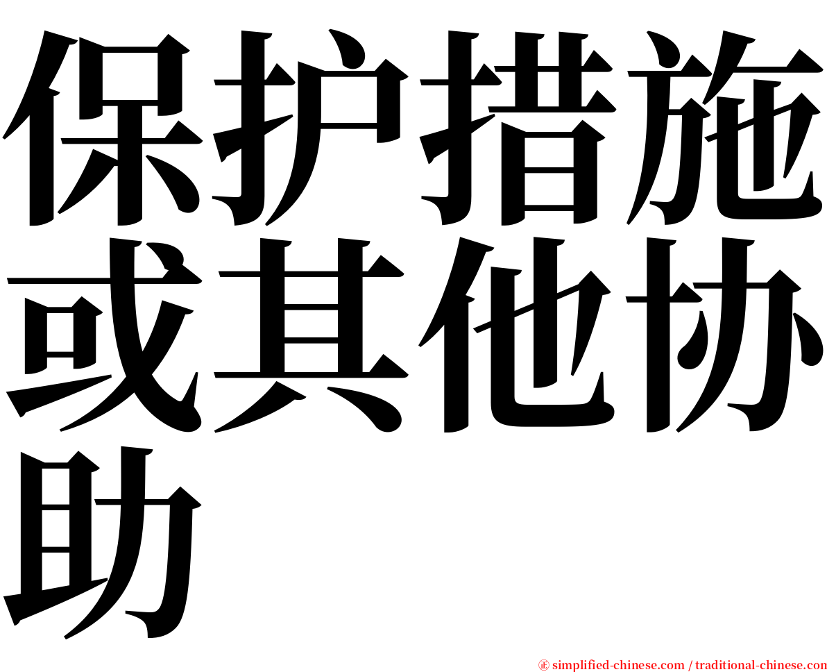 保护措施或其他协助 serif font