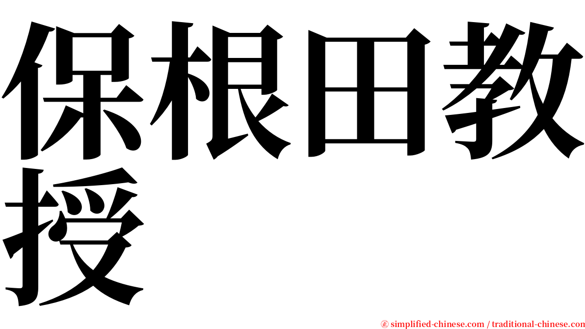 保根田教授 serif font