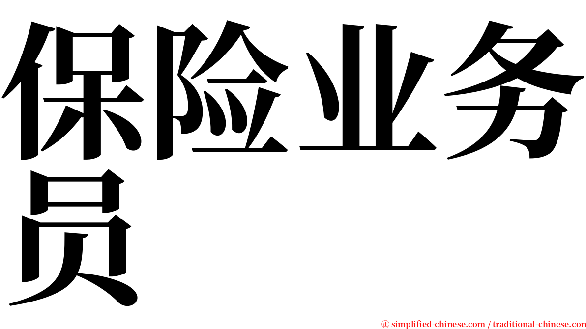 保险业务员 serif font