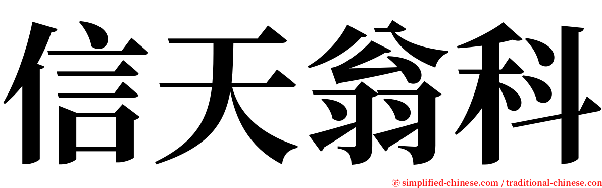 信天翁科 serif font