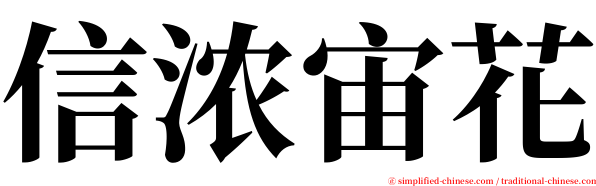 信浓宙花 serif font