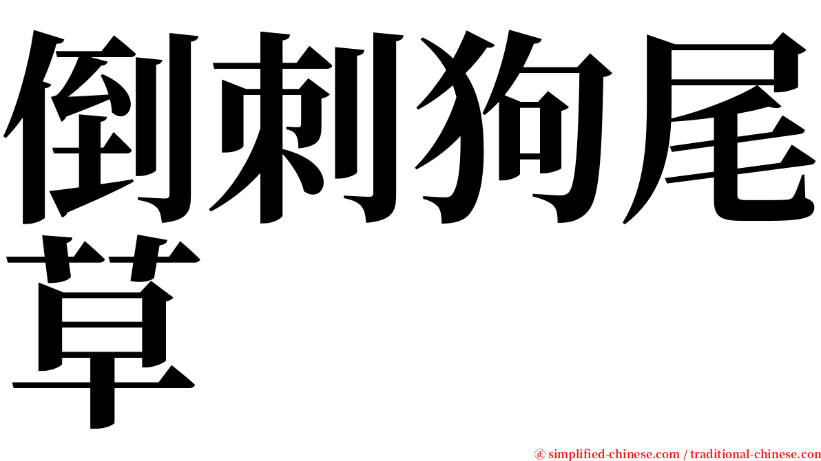 倒刺狗尾草 serif font