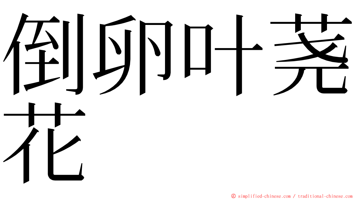 倒卵叶荛花 ming font