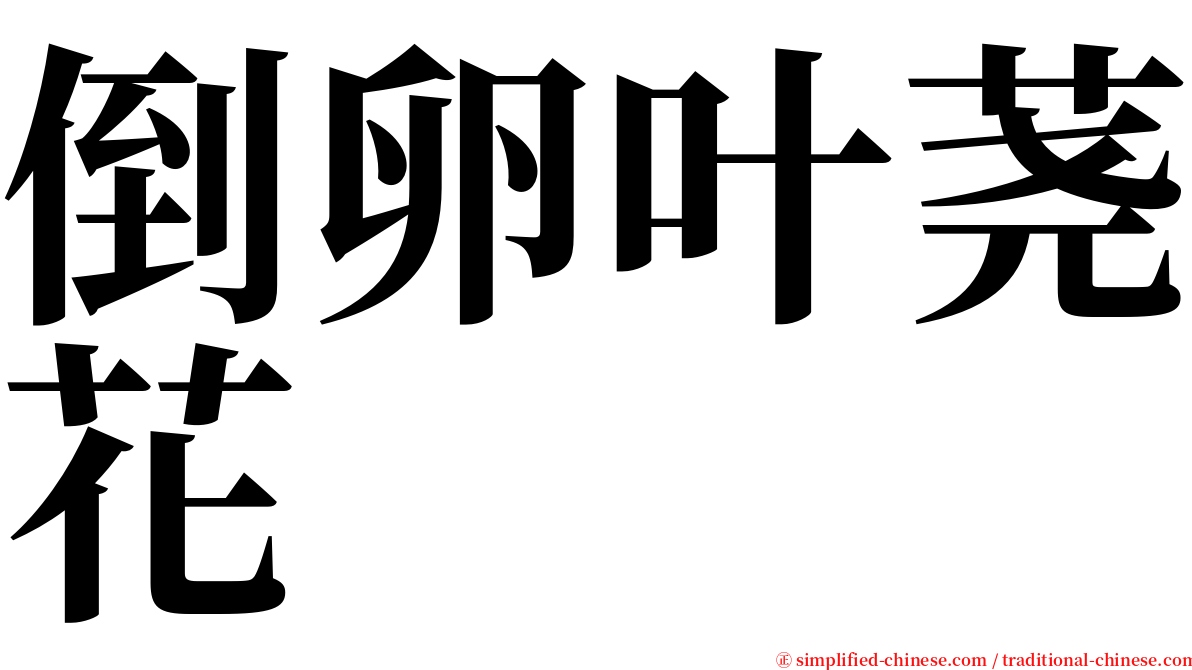 倒卵叶荛花 serif font