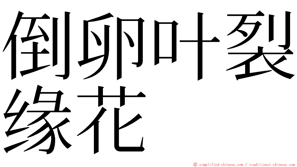 倒卵叶裂缘花 ming font