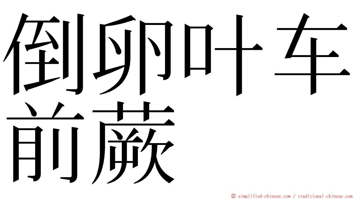 倒卵叶车前蕨 ming font