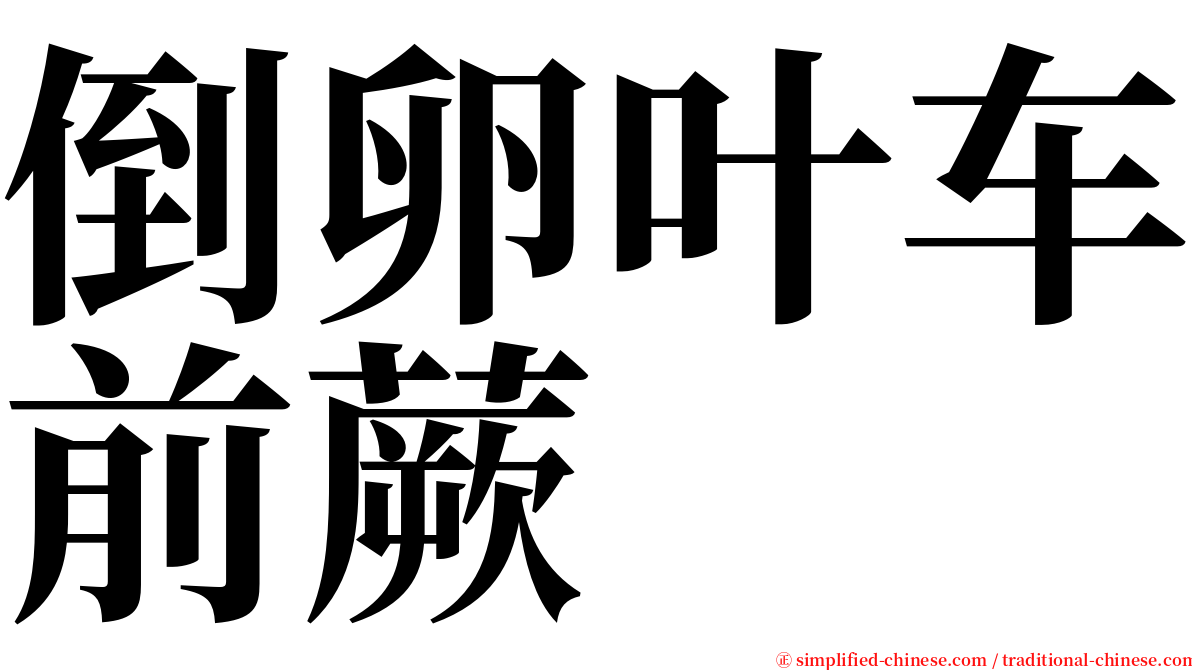 倒卵叶车前蕨 serif font