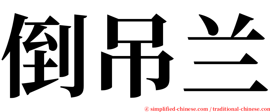 倒吊兰 serif font