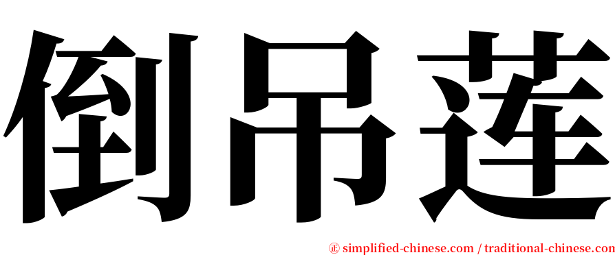 倒吊莲 serif font