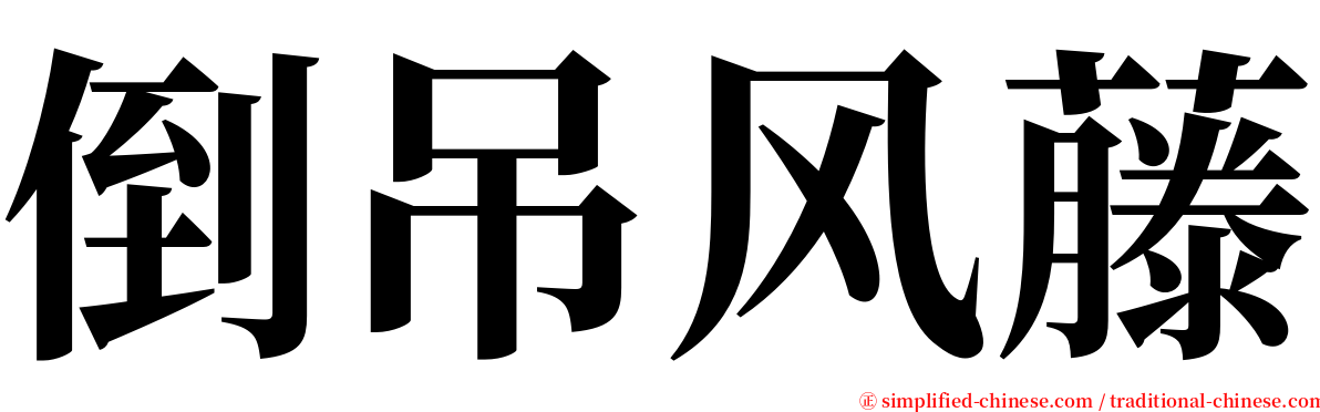 倒吊风藤 serif font