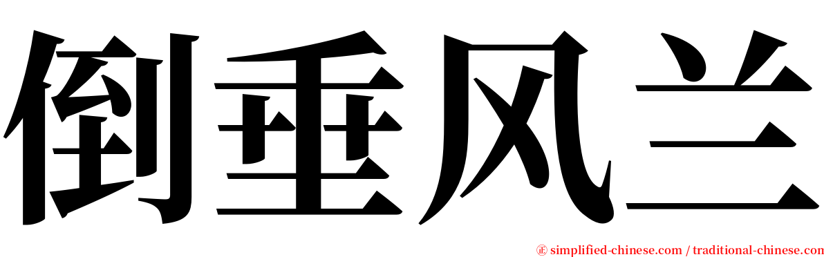 倒垂风兰 serif font