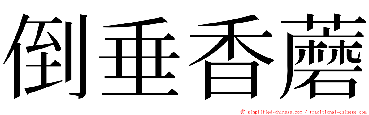 倒垂香蘑 ming font