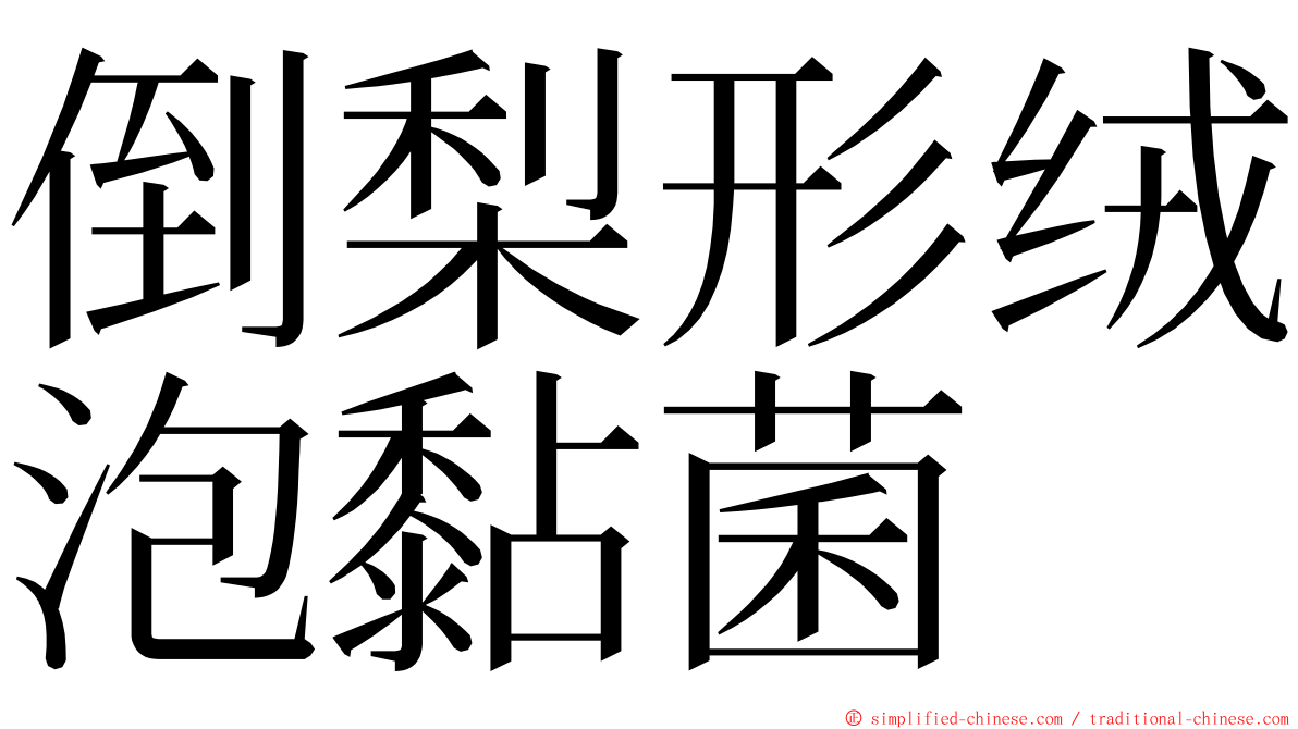 倒梨形绒泡黏菌 ming font