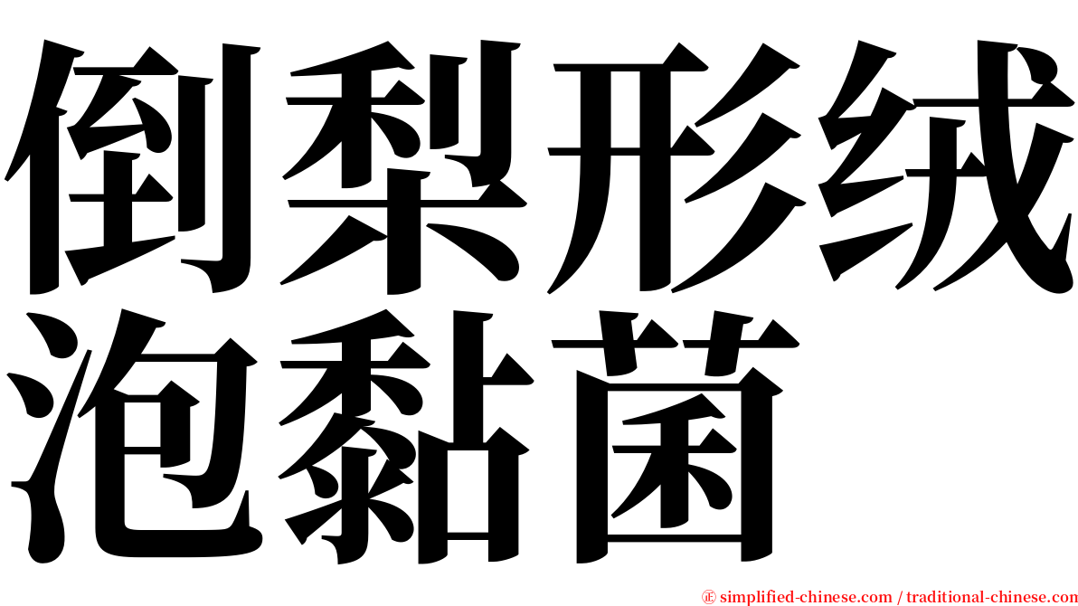 倒梨形绒泡黏菌 serif font