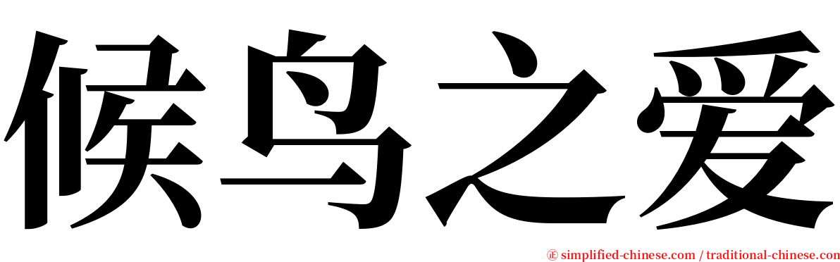 候鸟之爱 serif font