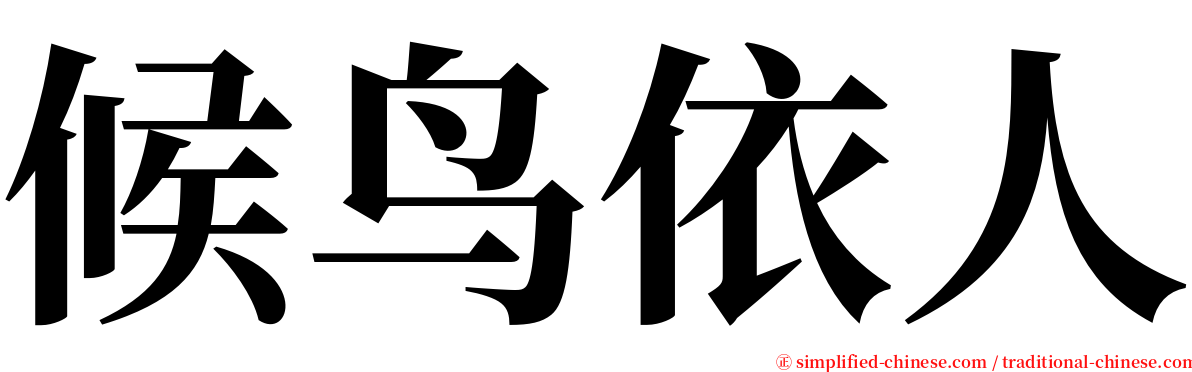 候鸟依人 serif font