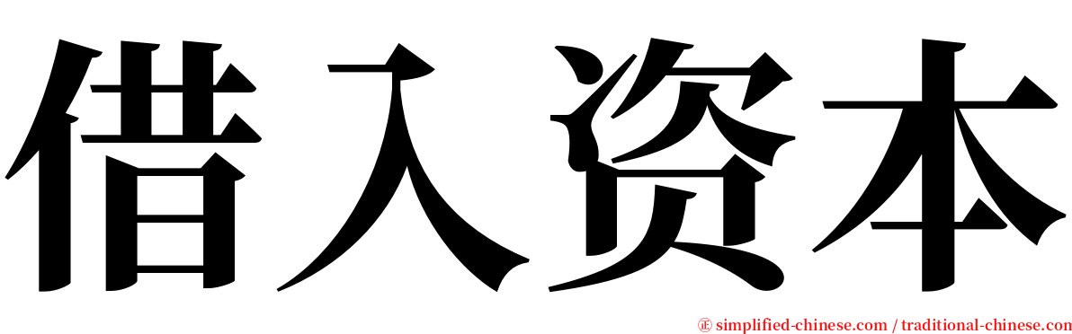 借入资本 serif font