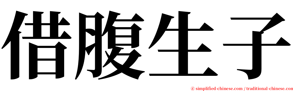 借腹生子 serif font