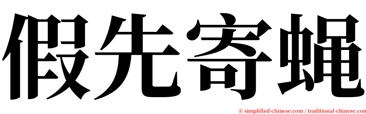 假先寄蝇 serif font