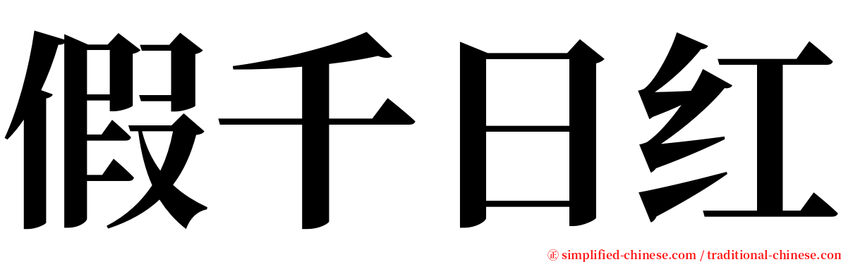 假千日红 serif font