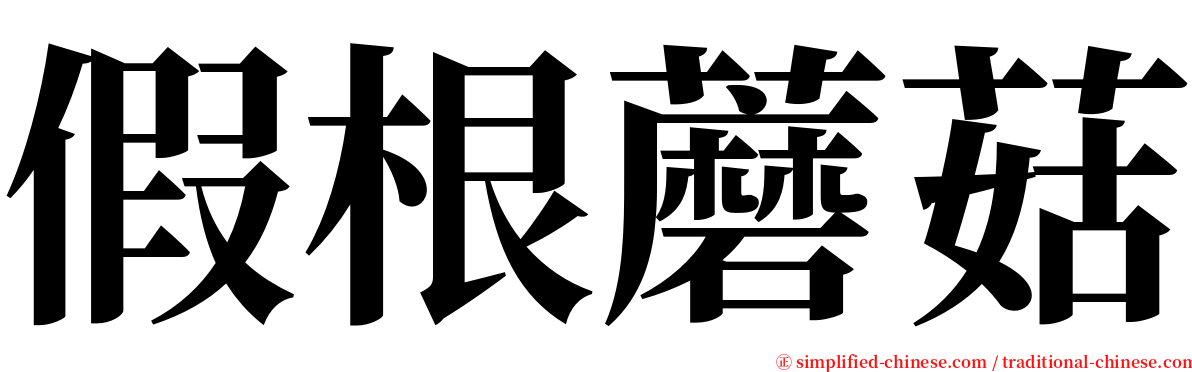 假根蘑菇 serif font