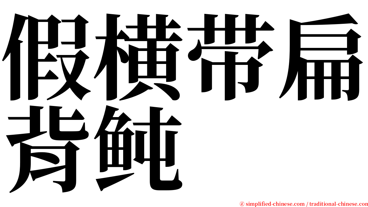 假横带扁背鲀 serif font