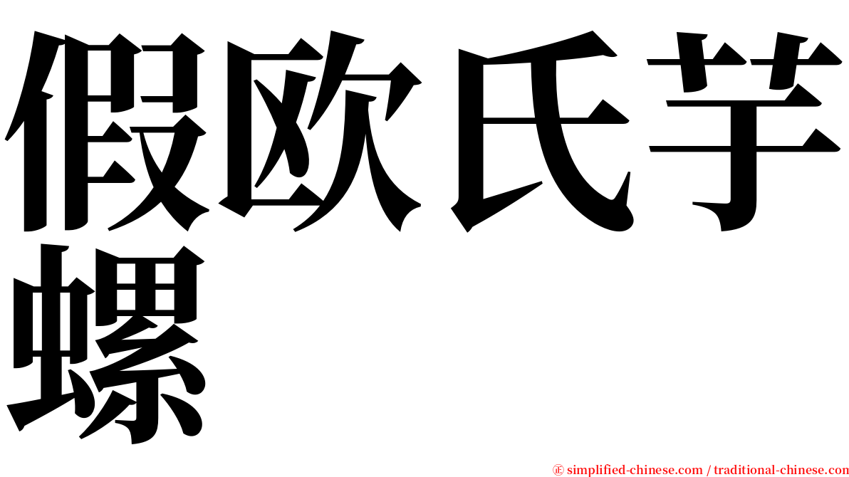 假欧氏芋螺 serif font