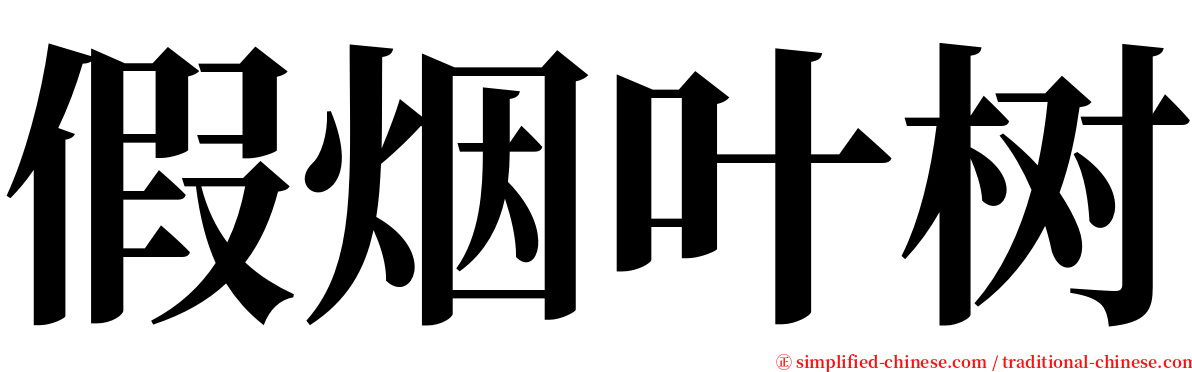 假烟叶树 serif font