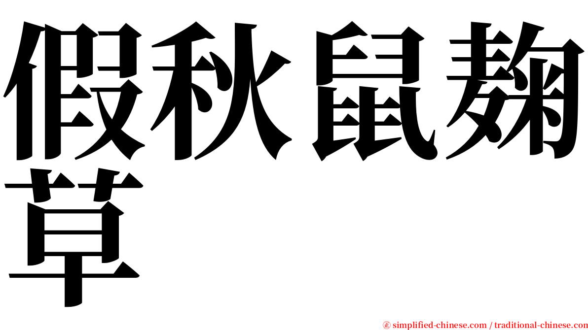 假秋鼠麹草 serif font
