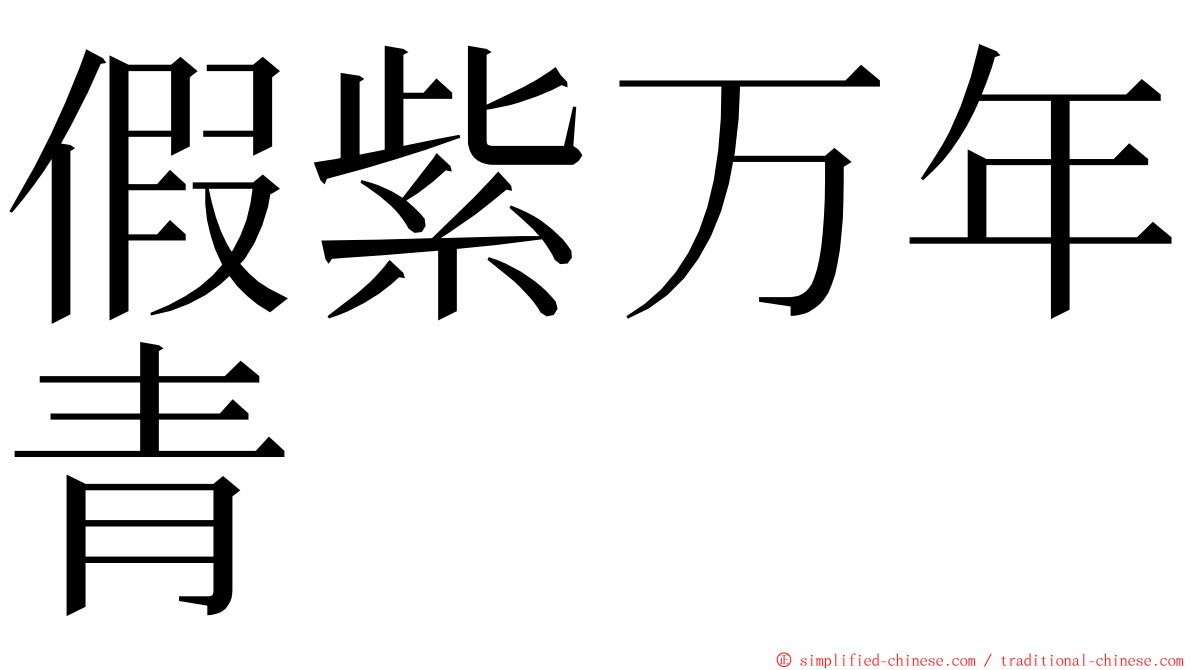 假紫万年青 ming font