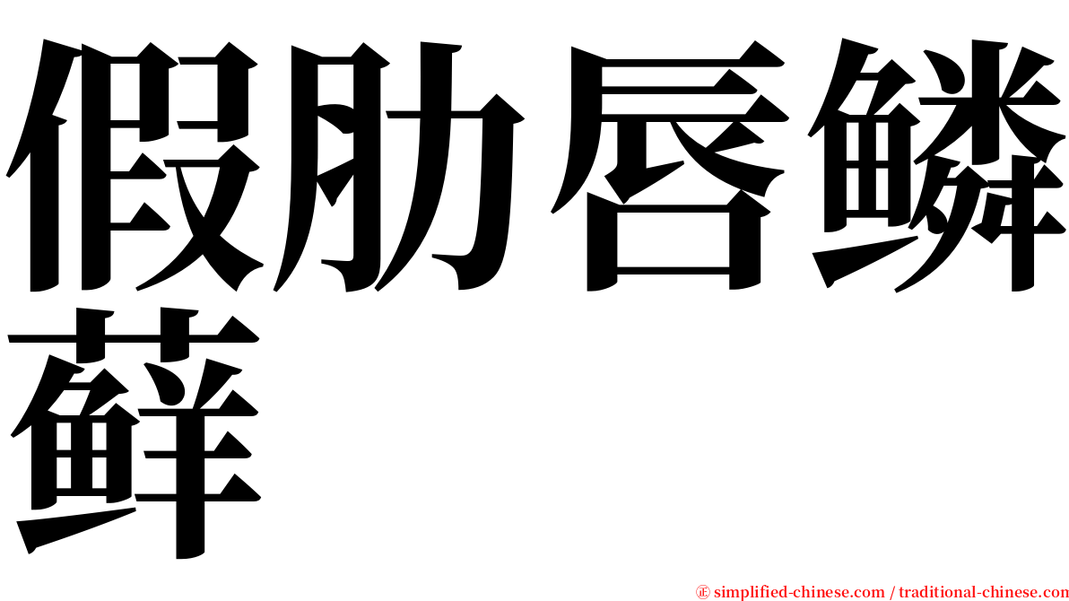 假肋唇鳞藓 serif font