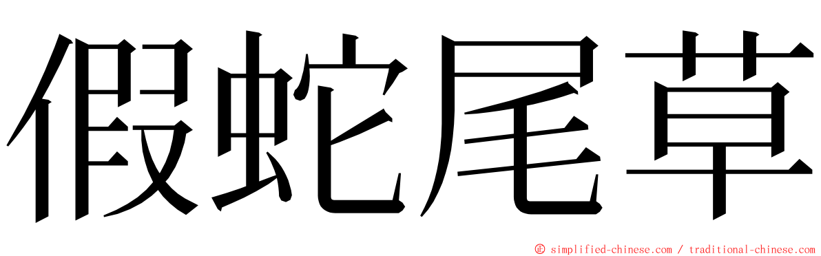 假蛇尾草 ming font