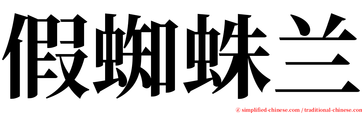 假蜘蛛兰 serif font