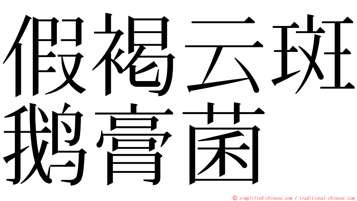 假褐云斑鹅膏菌 ming font