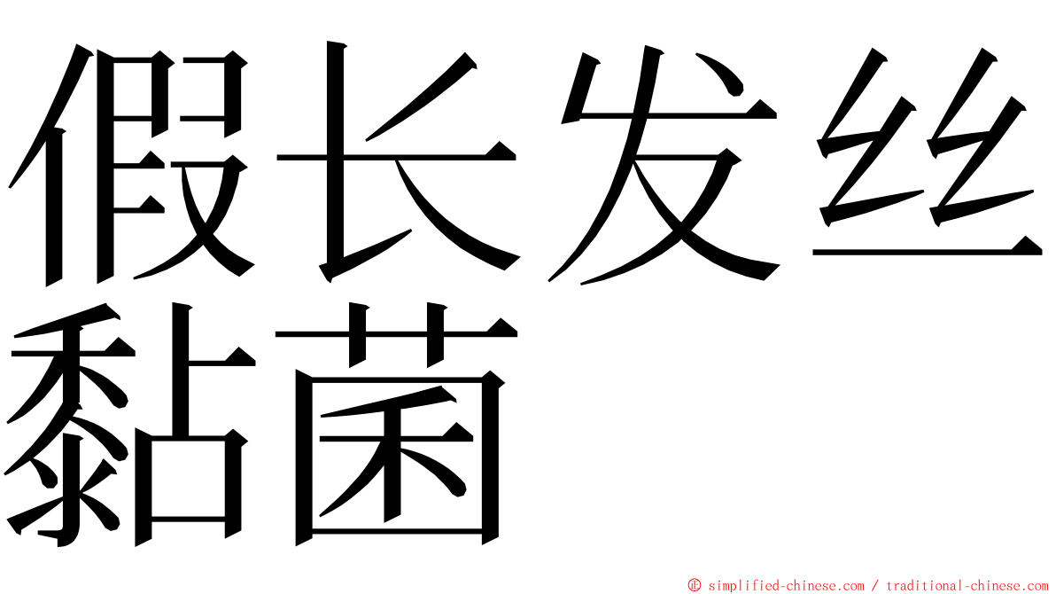 假长发丝黏菌 ming font