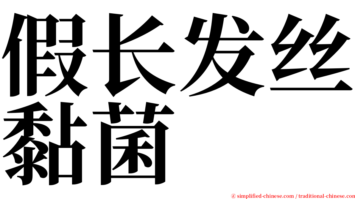 假长发丝黏菌 serif font