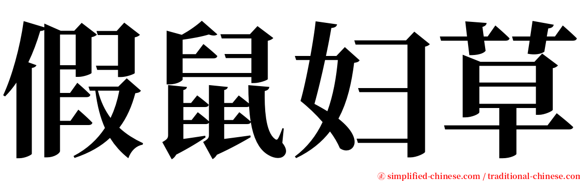 假鼠妇草 serif font