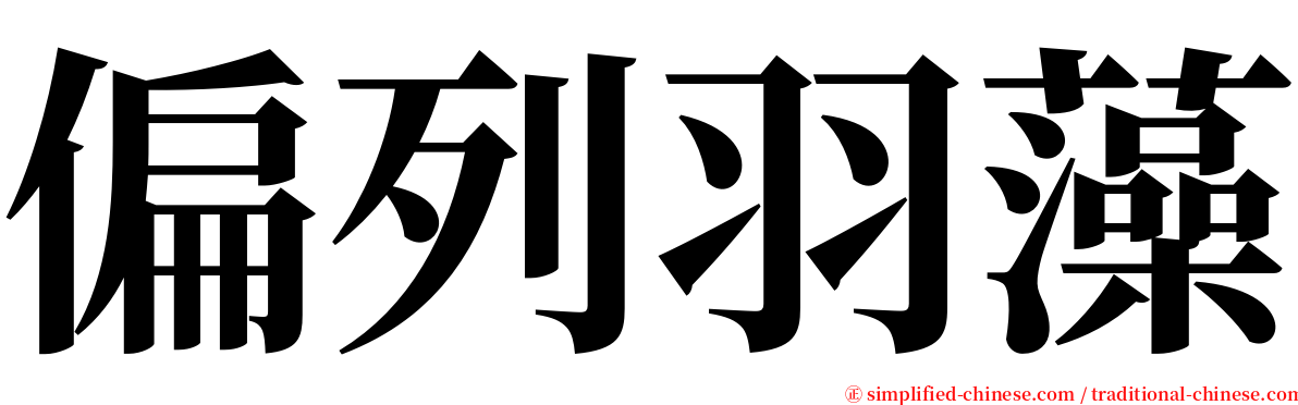 偏列羽藻 serif font