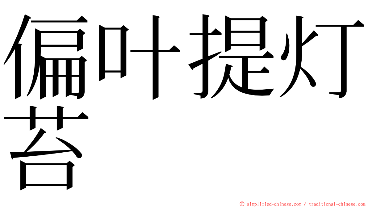 偏叶提灯苔 ming font