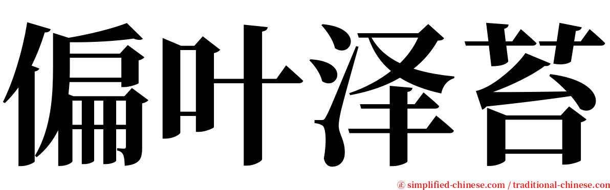 偏叶泽苔 serif font