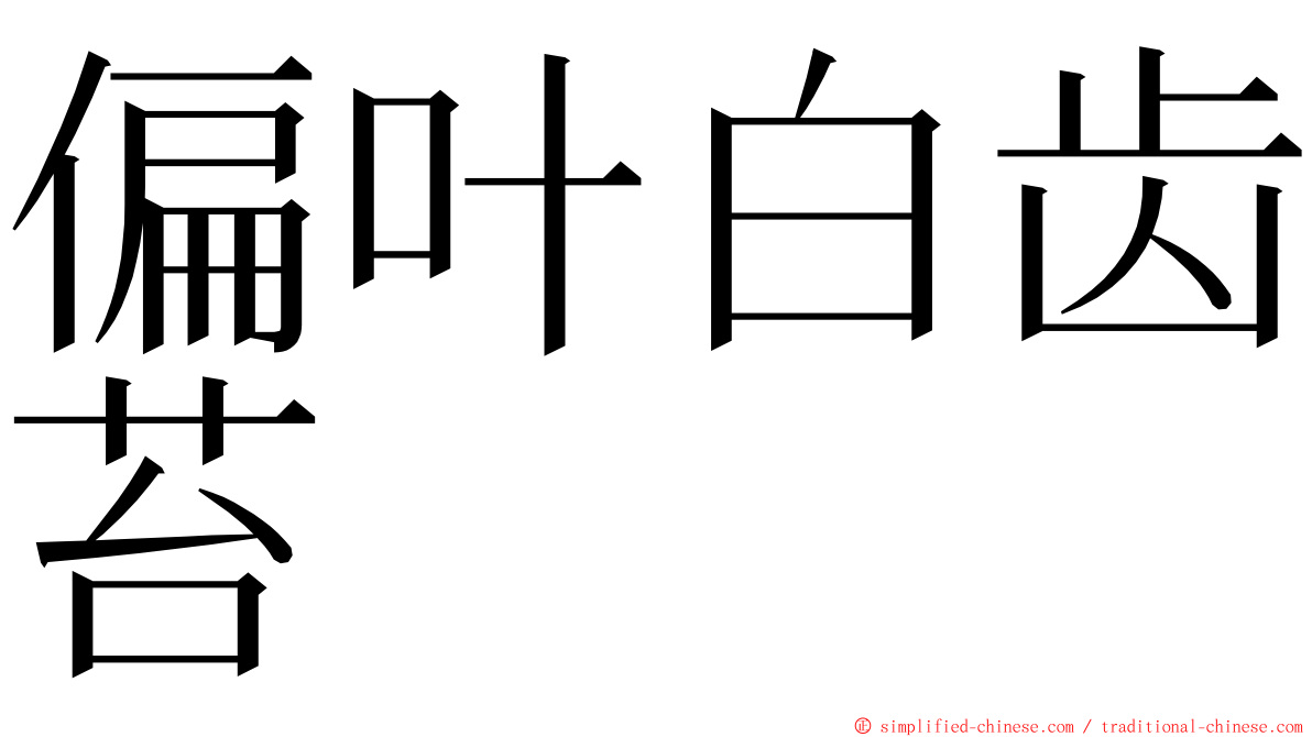 偏叶白齿苔 ming font