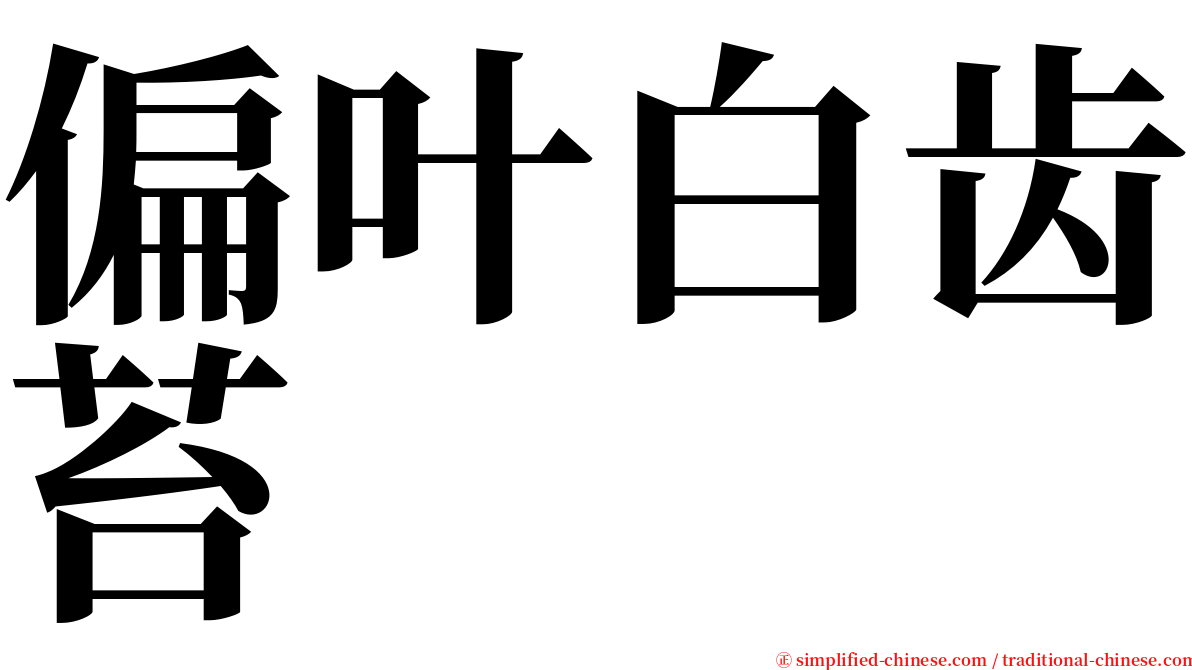 偏叶白齿苔 serif font