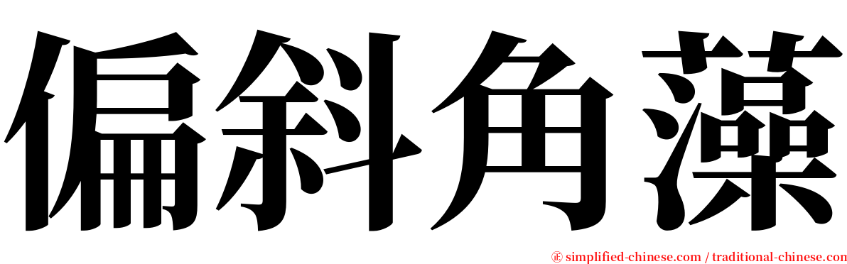 偏斜角藻 serif font