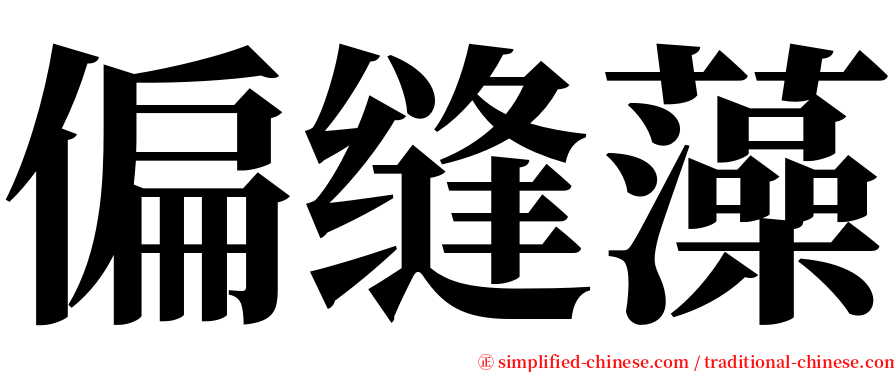 偏缝藻 serif font