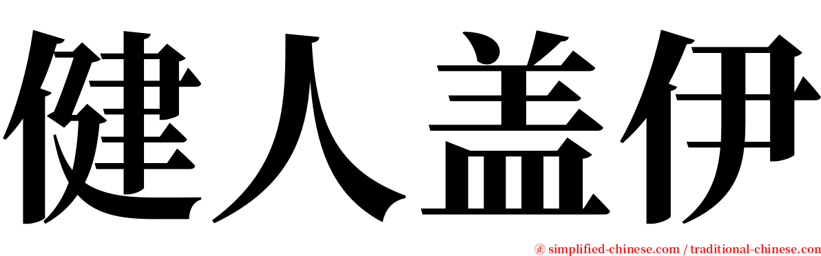 健人盖伊 serif font