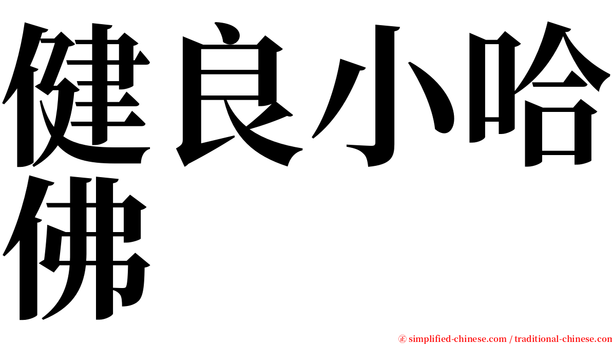 健良小哈佛 serif font