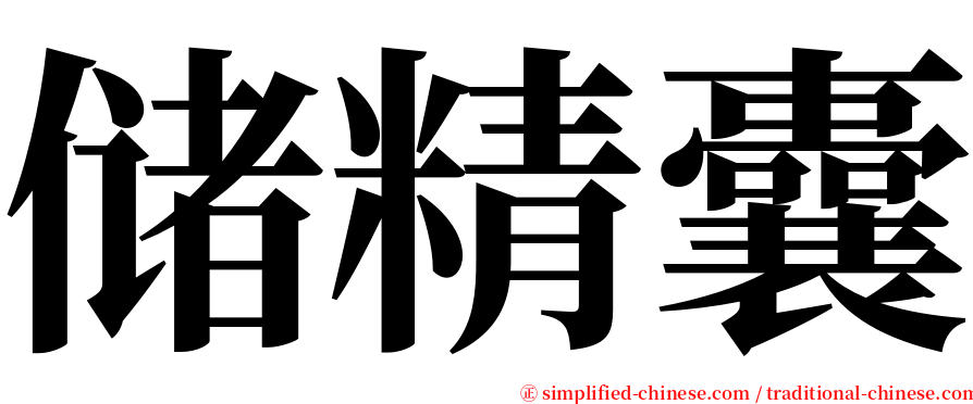 储精囊 serif font